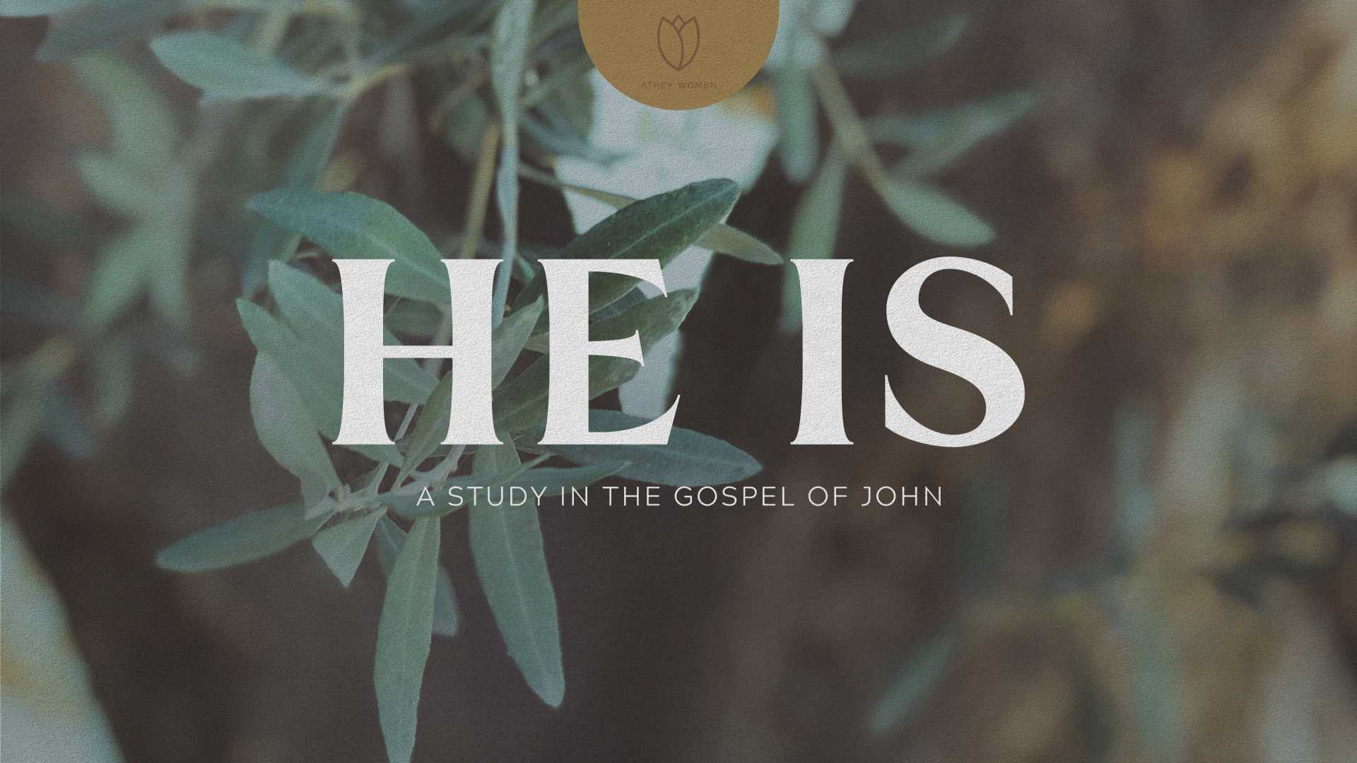 Teaching artwork for He Is: A Study in the Gospel of John