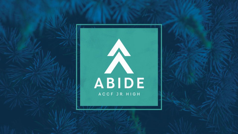 Poster forAbide